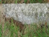 image of grave number 409717